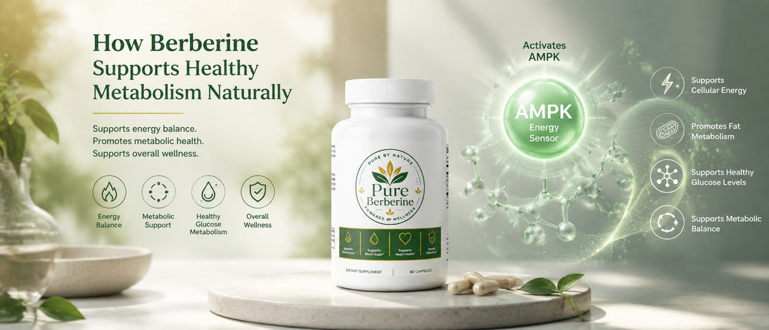 How Berberine Supports Healthy Metabolism Naturally