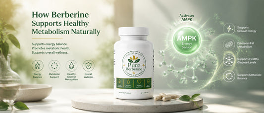 How Berberine Supports Healthy Metabolism Naturally